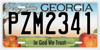 GA license plate PZM2341