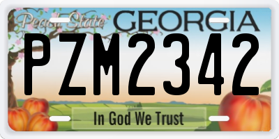 GA license plate PZM2342