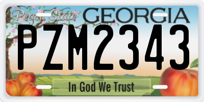 GA license plate PZM2343