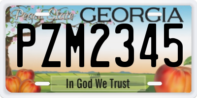 GA license plate PZM2345
