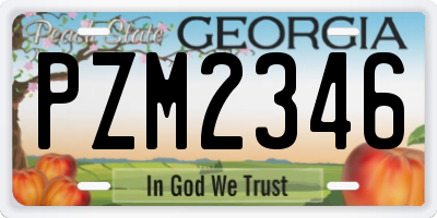 GA license plate PZM2346