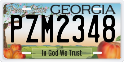 GA license plate PZM2348