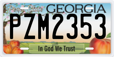 GA license plate PZM2353