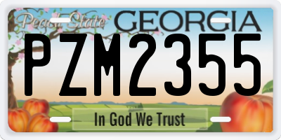 GA license plate PZM2355