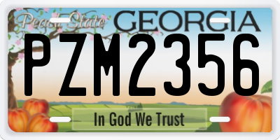 GA license plate PZM2356