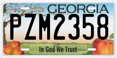 GA license plate PZM2358