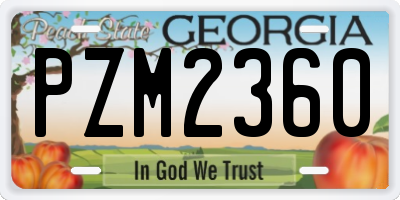 GA license plate PZM2360