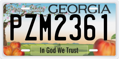 GA license plate PZM2361
