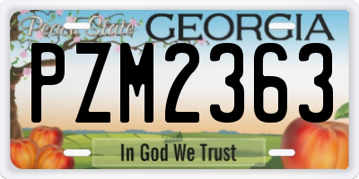 GA license plate PZM2363