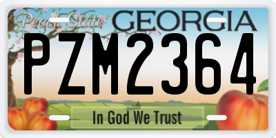 GA license plate PZM2364