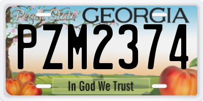 GA license plate PZM2374