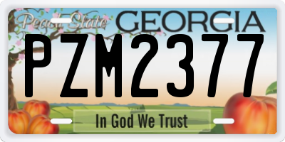 GA license plate PZM2377