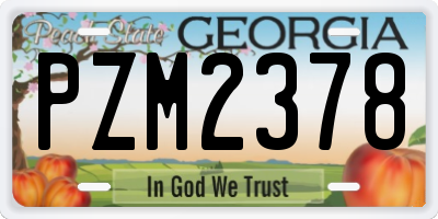 GA license plate PZM2378