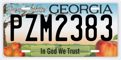 GA license plate PZM2383