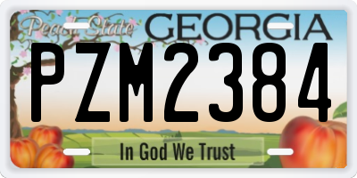 GA license plate PZM2384