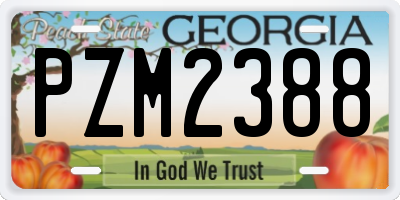 GA license plate PZM2388