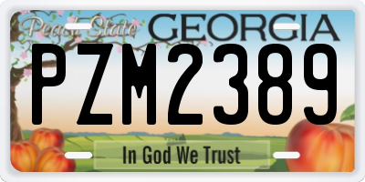 GA license plate PZM2389