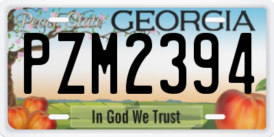 GA license plate PZM2394