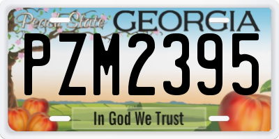 GA license plate PZM2395