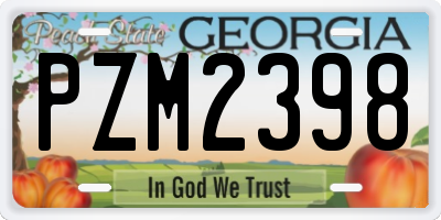 GA license plate PZM2398