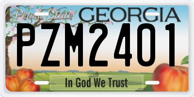 GA license plate PZM2401