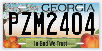 GA license plate PZM2404