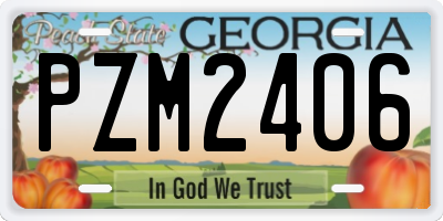 GA license plate PZM2406