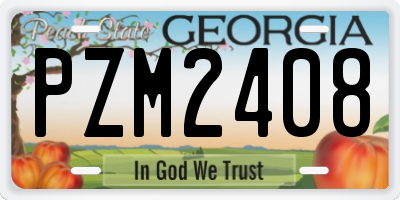 GA license plate PZM2408