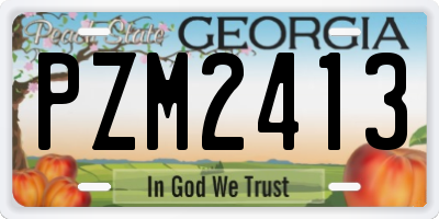 GA license plate PZM2413