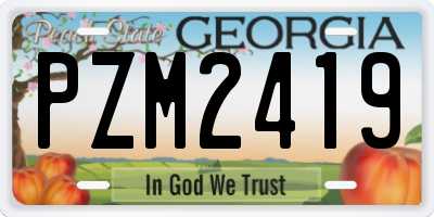 GA license plate PZM2419