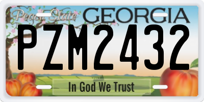 GA license plate PZM2432