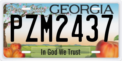 GA license plate PZM2437