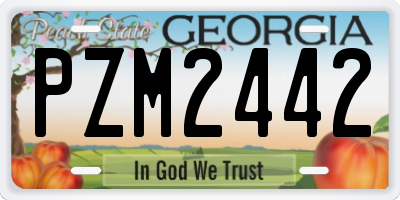 GA license plate PZM2442