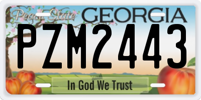 GA license plate PZM2443