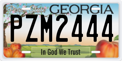 GA license plate PZM2444