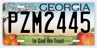 GA license plate PZM2445