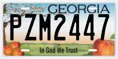 GA license plate PZM2447