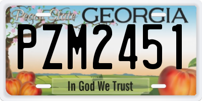 GA license plate PZM2451