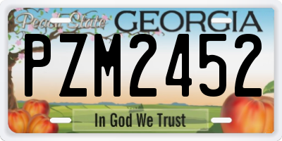GA license plate PZM2452