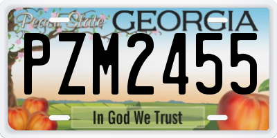 GA license plate PZM2455