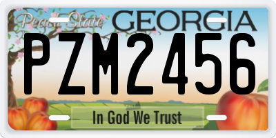 GA license plate PZM2456