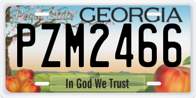 GA license plate PZM2466