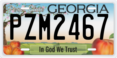 GA license plate PZM2467