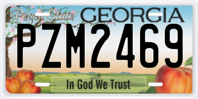 GA license plate PZM2469
