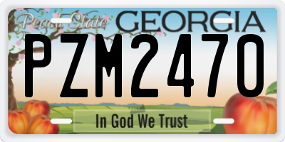 GA license plate PZM2470