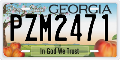 GA license plate PZM2471