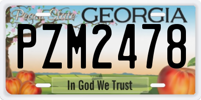 GA license plate PZM2478
