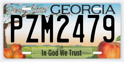 GA license plate PZM2479