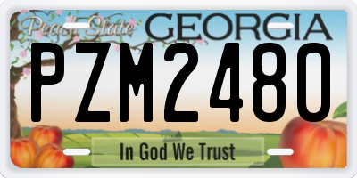 GA license plate PZM2480