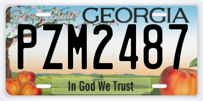 GA license plate PZM2487